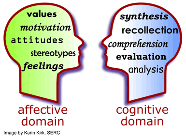 Cognition vs Emotion dans le design